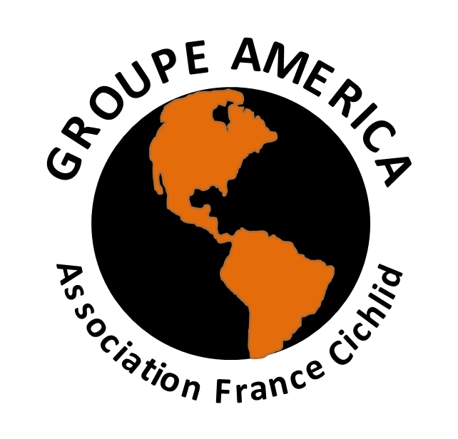 logo-groupe-america