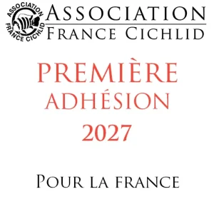 PREMIÈRE Adhésion à l'AFC 2026 (pour la France)
