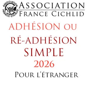 Adhésion ou ré-adhésion (simple) 2026 à l'AFC (pour l'étranger)