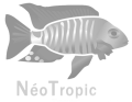neotropic-gr
