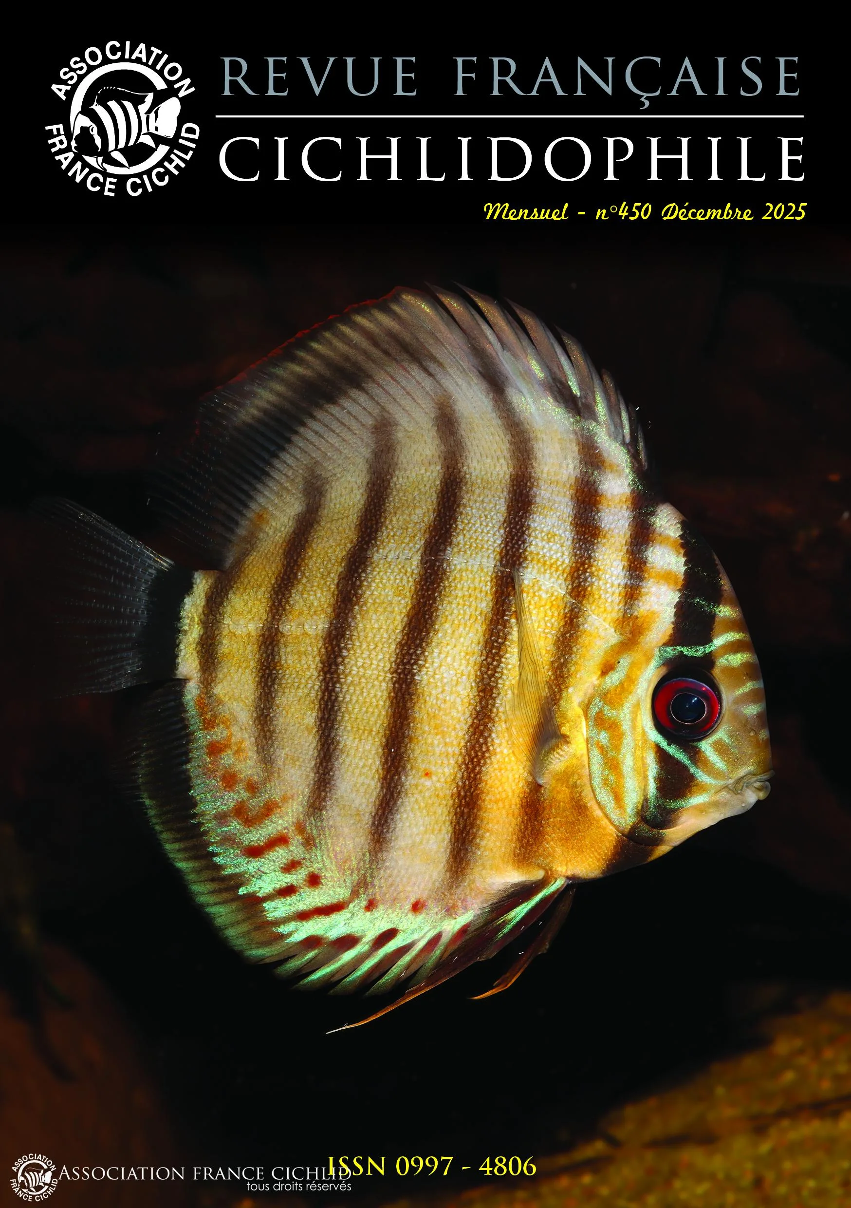 La revue du mois – Image 9