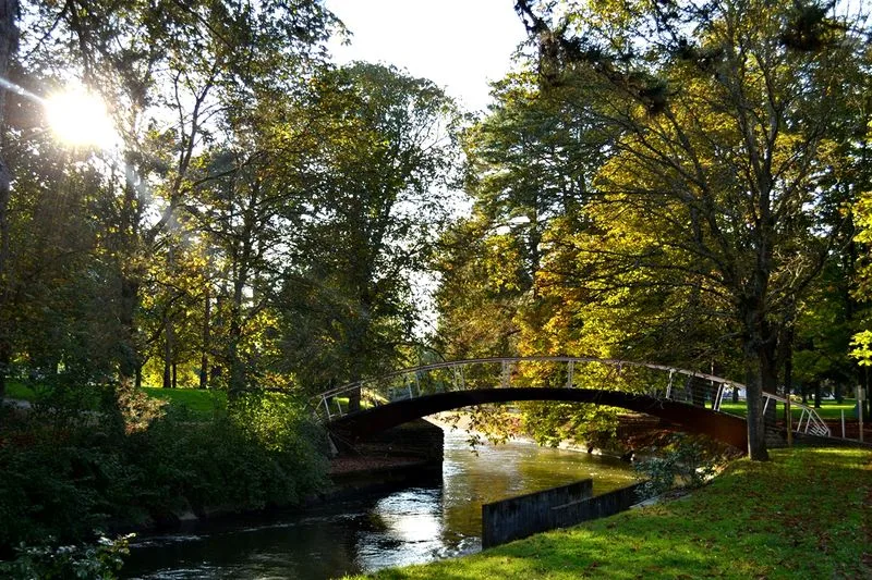 DSC_0020_Copier_scale_800x1500