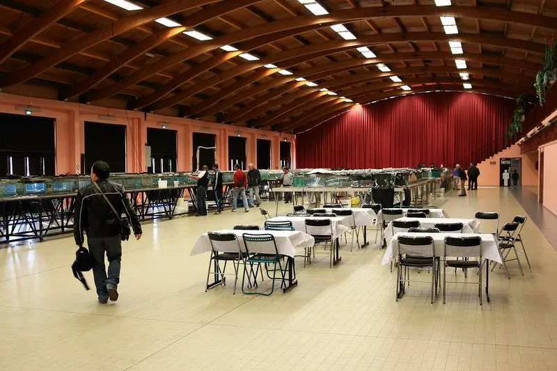 _MG_0984b_scale_800x1500