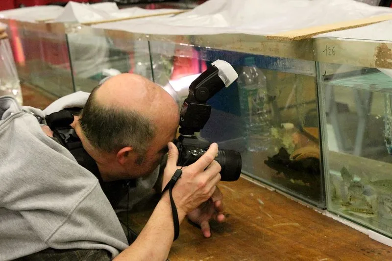 _MG_1082b_scale_800x1500