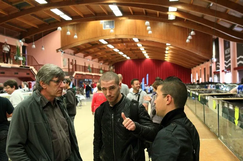 _MG_1148b_scale_800x1500