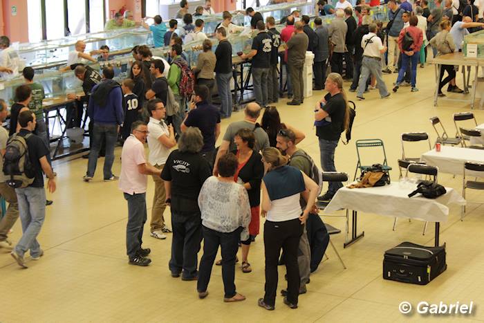 congres-2014
